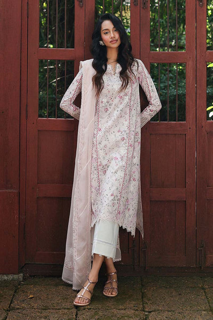 qalamkar qline ready  to ship online available in india