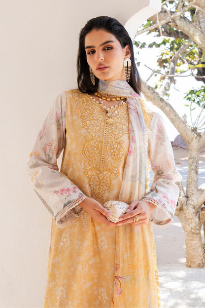 Aabyan Shezlin Chikankari Edit '26=nuraya Aangan the essence of lawn & chiffon