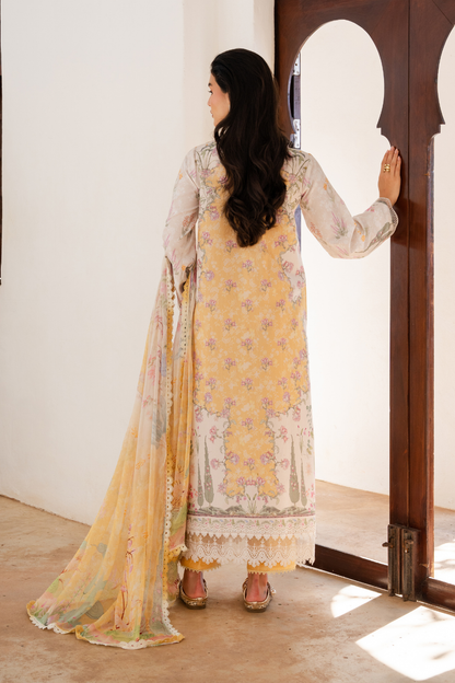 Aabyan Shezlin Chikankari Edit '26=nuraya Aangan the essence of lawn & chiffon