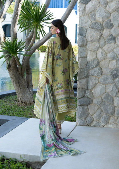 Elaf Prints Lawn Vol 1 2026=-4A AVOCADO Aangan the essence of lawn & chiffon