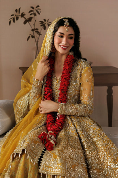 Golden Organza Pakistani wedding suit full styled look - Aangan
