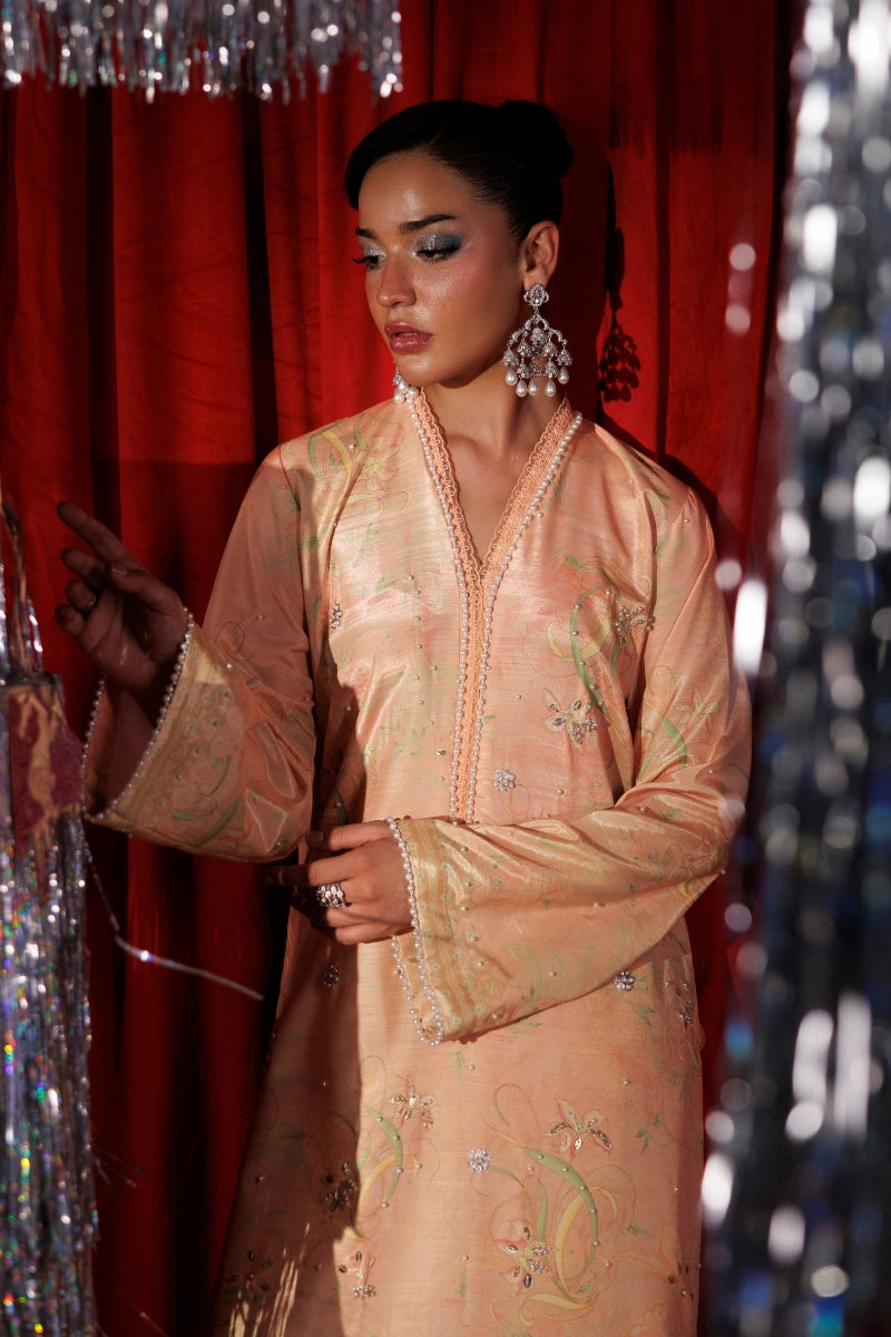 Rang Rasiya Luxe Silk 2026 Eloire Dupatta Border Detail