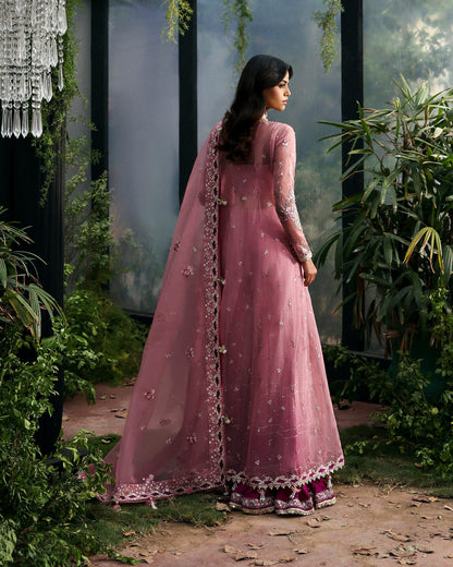 PAKISTANI SUIT IN AMRITSAR