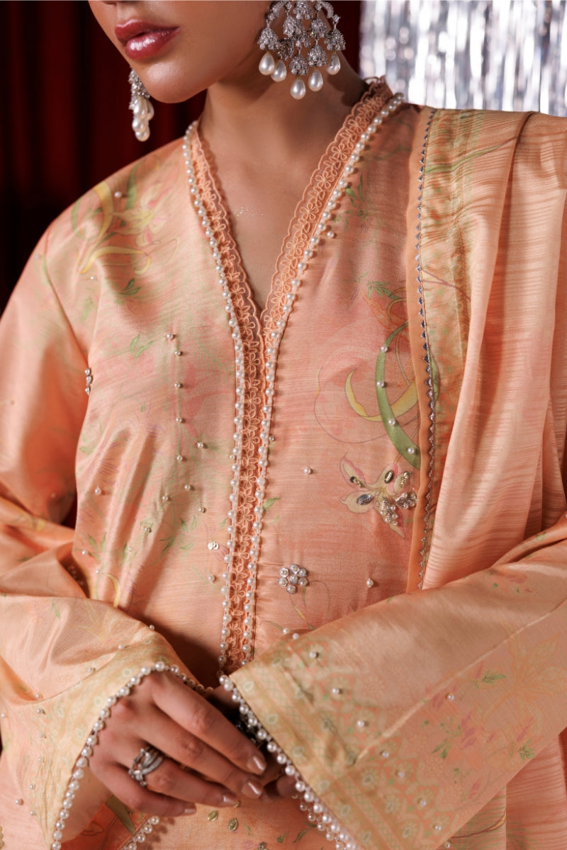 Rang Rasiya Luxe Silk 2026 Eloire Sleeve Detail