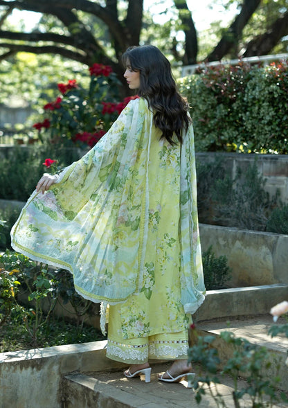 ELAF SIGNATURE LAWN=2026=7a Aangan | the Essence of Lawn & Chiffon