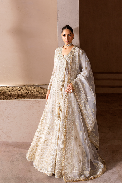 EAN ADEEL CHIFFON FESTIVEIN AMRITSAR