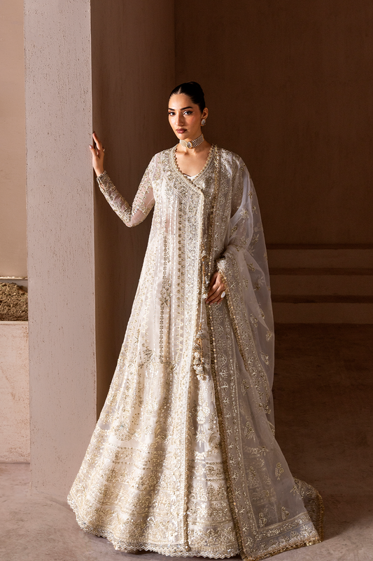 EMAN ADEEL CHIFFON 2025 IN PUNJAB