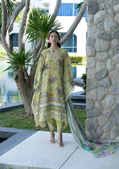 Elaf Prints Lawn Vol 1 2026=-4A AVOCADO Aangan the essence of lawn & chiffon