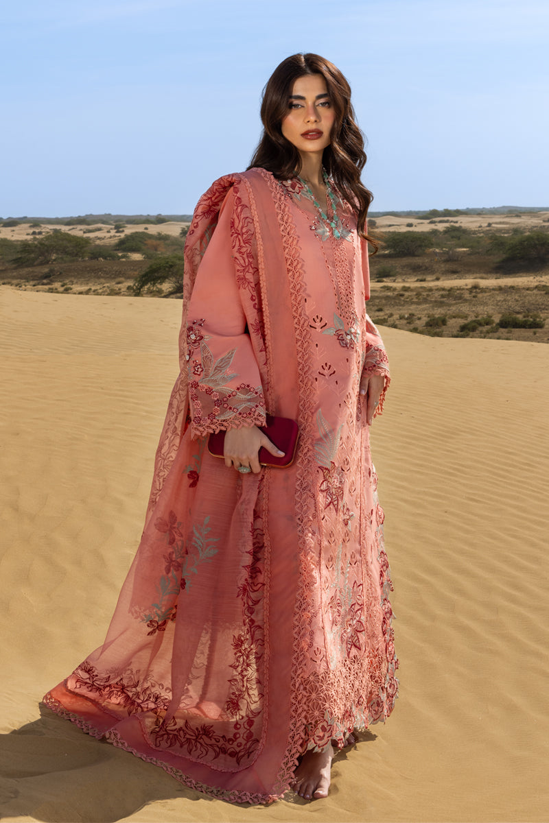 Rangrasiya Premium Summer Lawn '26-Amani Aangan | the Essence of Lawn & Chiffon
