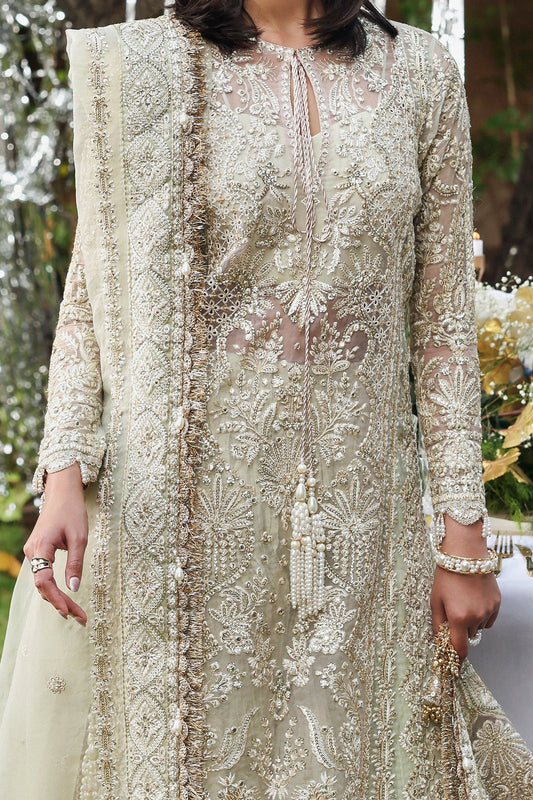 Afrozeh Dastangoi Festive Collection 2025
• 	Ready-to-Ship Pakistani Suits in India
• 	Pakistani Partywear Salwar Suits
• 	Embroidered Organza and Raw Silk Suits